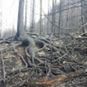 Meet your Posher, Tim